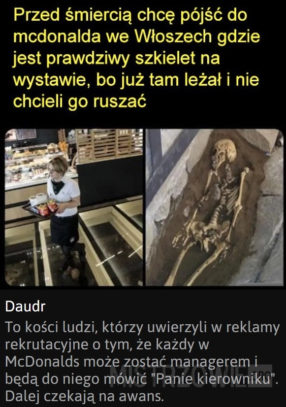 
    Szkielet