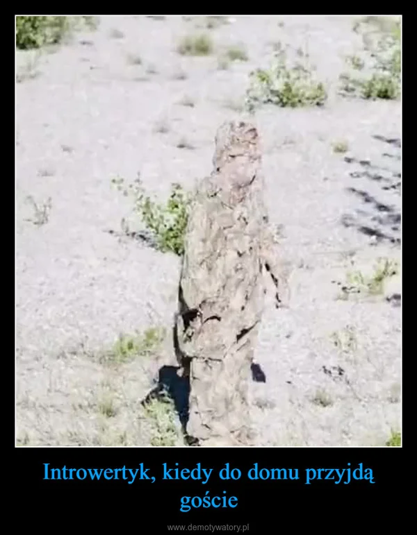 
    Introwertyk, kiedy do domu przyjdą goście