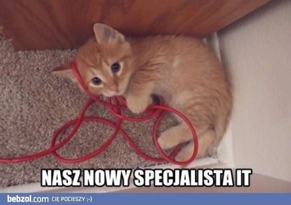 Nowy specjalista w firmie