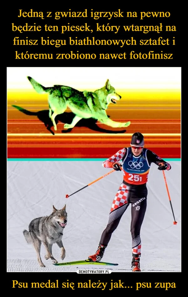 
    Jedną z gwiazd igrzysk na pewno będzie ten piesek, który wtargnął na finisz biegu biathlonowych sztafet i któremu zrobiono nawet fotofinisz Psu medal się należy jak... psu zupa