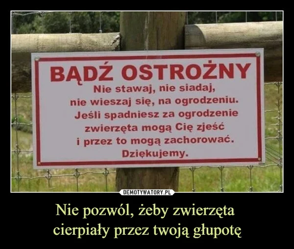 
    Nie pozwól, żeby zwierzęta cierpiały przez twoją głupotę