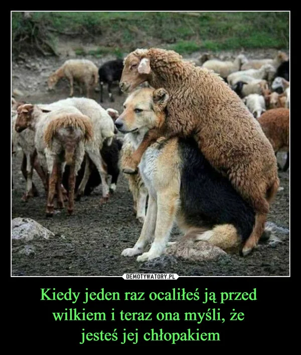 
    Kiedy jeden raz ocaliłeś ją przed wilkiem i teraz ona myśli, że jesteś jej chłopakiem