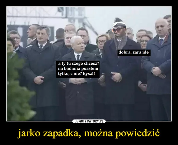 jarko zapadka, można powiedzić