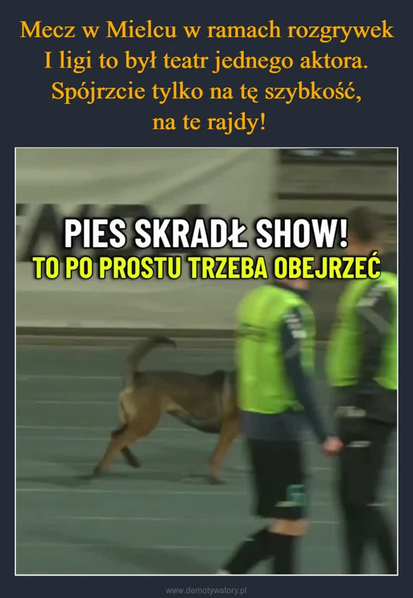 
    Mecz w Mielcu w ramach rozgrywek I ligi to był teatr jednego aktora. Spójrzcie tylko na tę szybkość, na te rajdy!