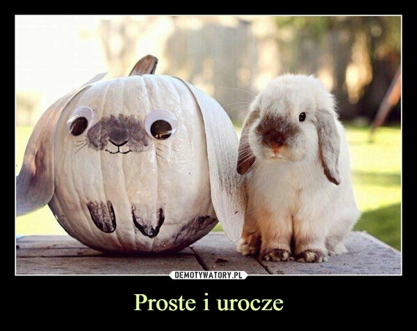 
    Proste i urocze