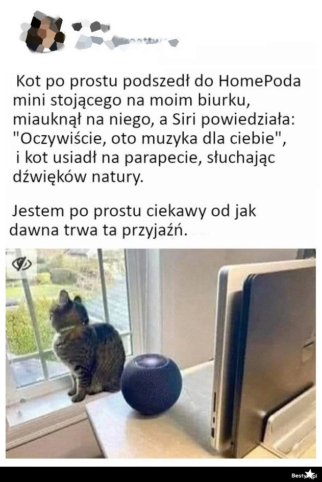 
    Prośba od kota 