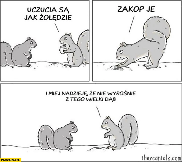 Uczucia są jak żołędzie, zakop je i miej nadzieję, że wyrośnie z tego wielki dąb wiewiórki