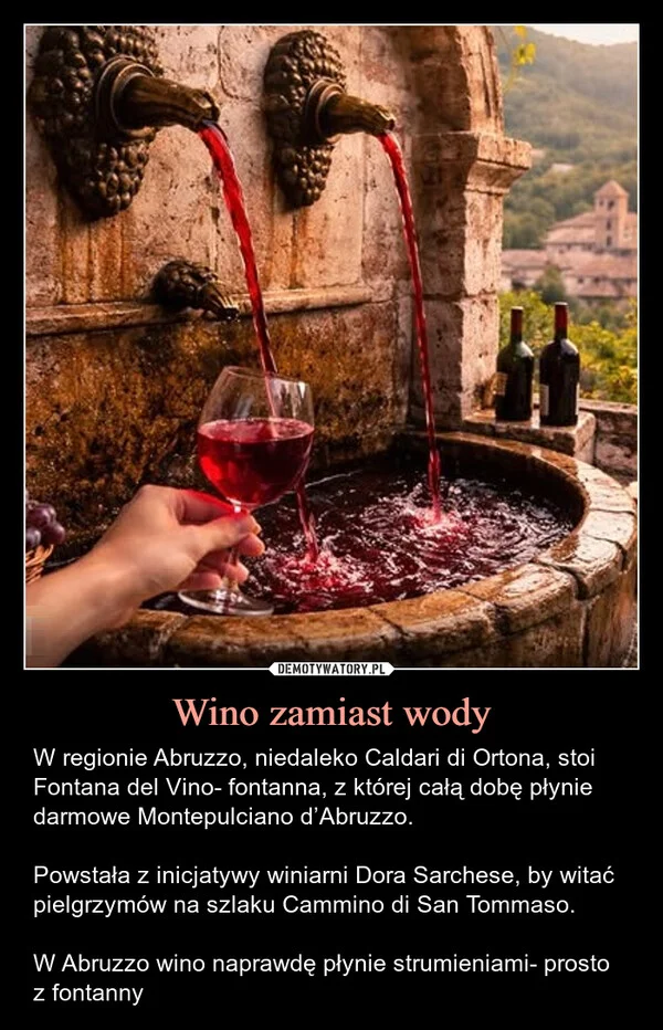 
    Wino zamiast wody