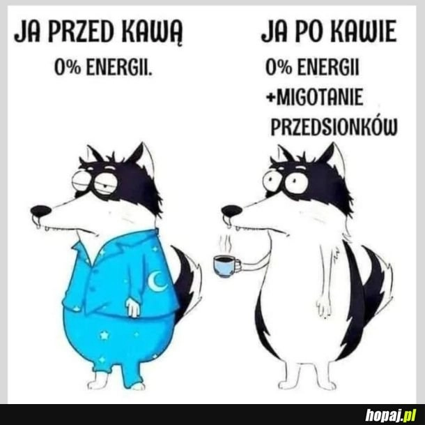 
    Kawa