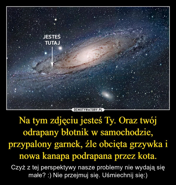 
    Na tym zdjęciu jesteś Ty. Oraz twój odrapany błotnik w samochodzie, przypalony garnek, źle obcięta grzywka i nowa kanapa podrapana przez kota.