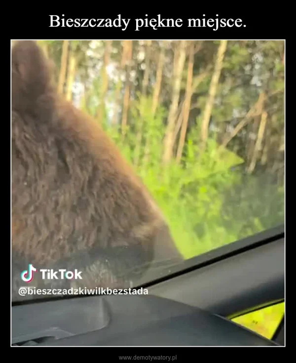 
    Bieszczady piękne miejsce.