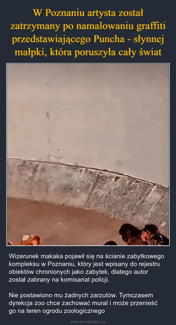 
    W Poznaniu artysta został zatrzymany po namalowaniu graffiti przedstawiającego Puncha - słynnej małpki, która poruszyła cały świat