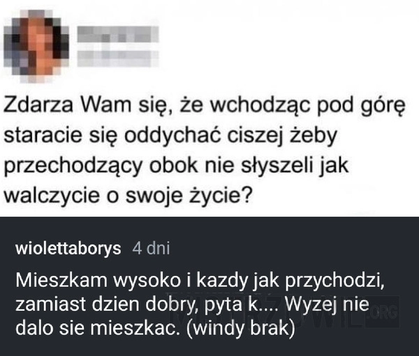 
    Zadyszka