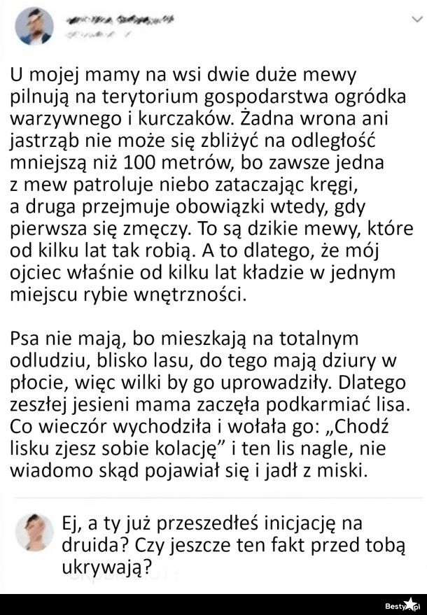 
    Zwierzątka rodziców 