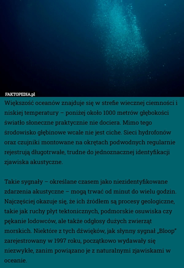 Większość oceanów znajduje się w strefie wiecznej ciemności i niskiej temperatury