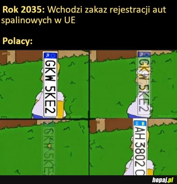 
    Trzeba sobie radzić