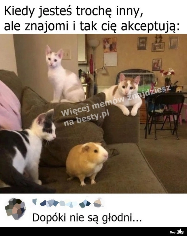 
    Taki drobny szczegół 