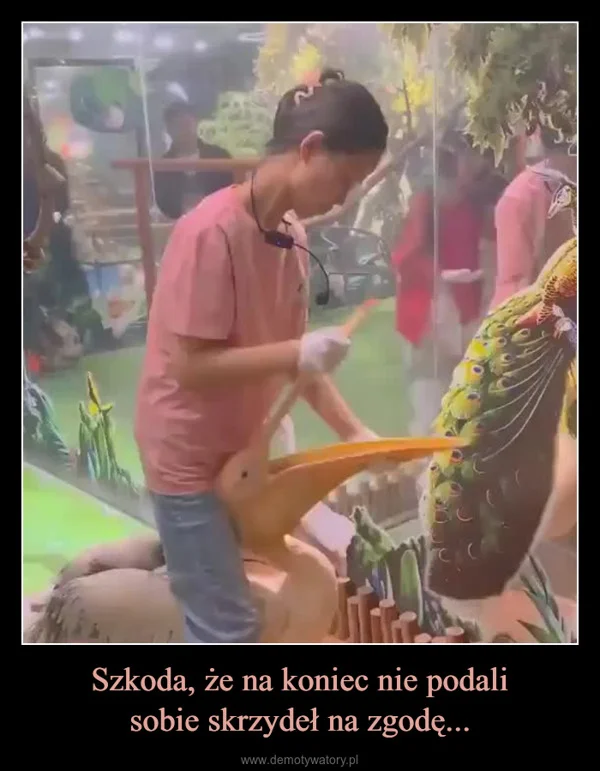 
    Szkoda, że na koniec nie podali sobie skrzydeł na zgodę...