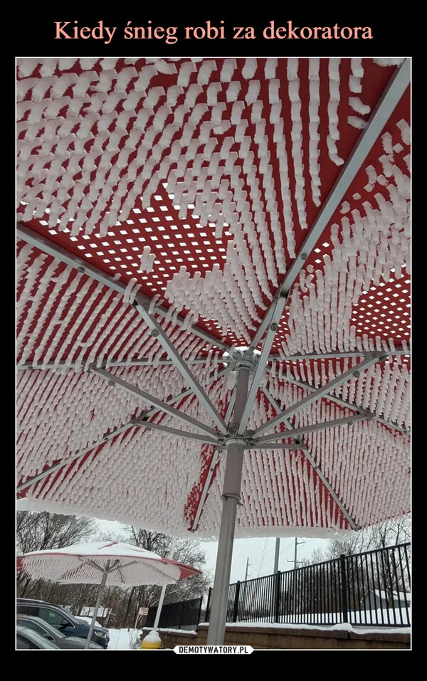 
    Kiedy śnieg robi za dekoratora