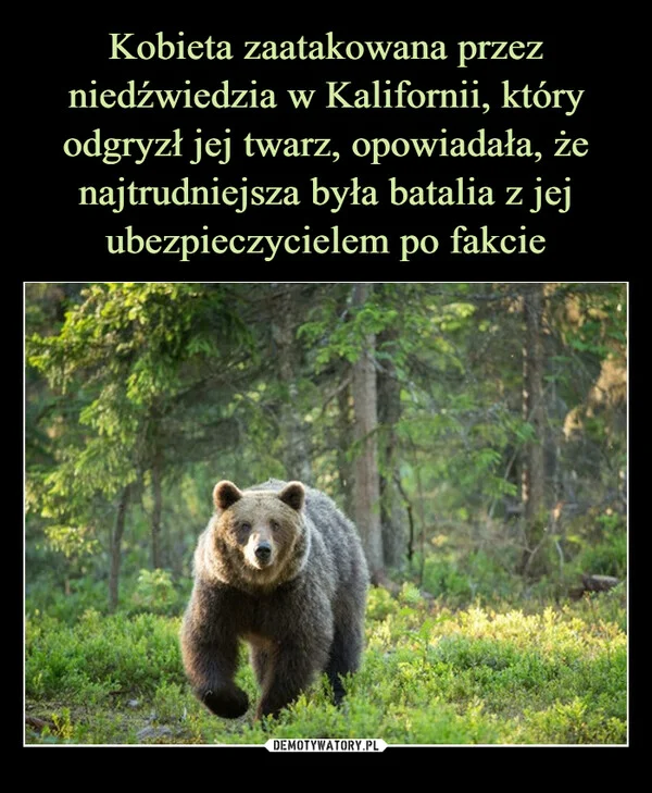 
    Kobieta zaatakowana przez niedźwiedzia w Kalifornii, który odgryzł jej twarz, opowiadała, że najtrudniejsza była batalia z jej ubezpieczycielem po fakcie