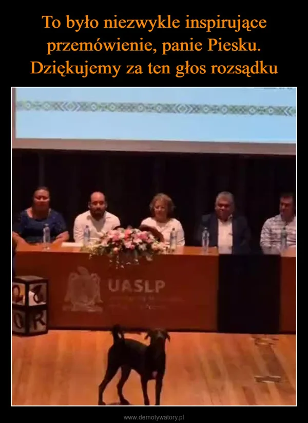 
    To było niezwykle inspirujące przemówienie, panie Piesku. Dziękujemy za ten głos rozsądku