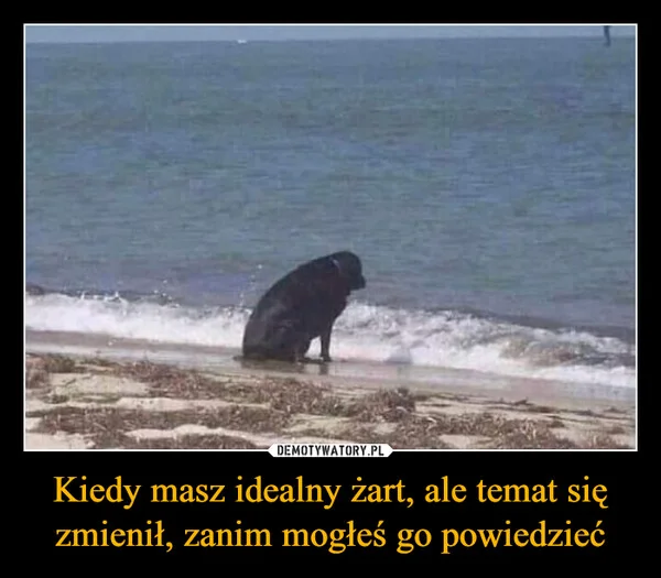 
    Kiedy masz idealny żart, ale temat się zmienił, zanim mogłeś go powiedzieć