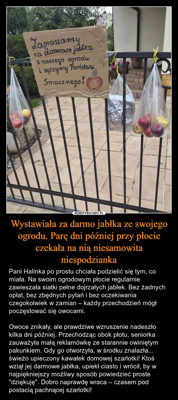 Wystawiała za darmo jabłka ze swojego ogrodu. Parę dni później przy płocie czekała na nią niesamowita niespodzianka