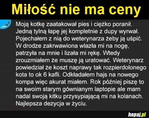 
    Warto ratować