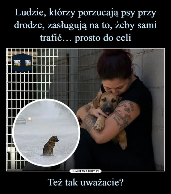 
    Ludzie, którzy porzucają psy przy drodze, zasługują na to, żeby sami trafić… prosto do celi Też tak uważacie?