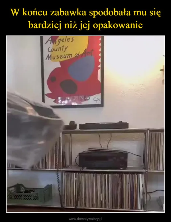 
    W końcu zabawka spodobała mu się bardziej niż jej opakowanie