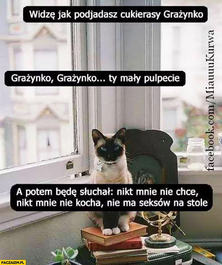 
    Widzę jak podjadasz cukierki Grażynko Ty mały pulpecie a potem będę słuchał nikt mnie nie chce nikt mnie nie kocha kot