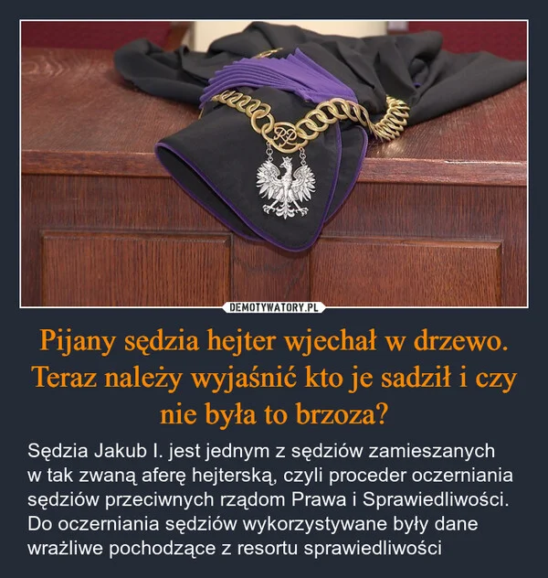 
    Pijany sędzia hejter wjechał w drzewo. Teraz należy wyjaśnić kto je sadził i czy nie była to brzoza?