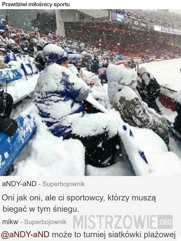 
    Prawdziwi miłośnicy sportu