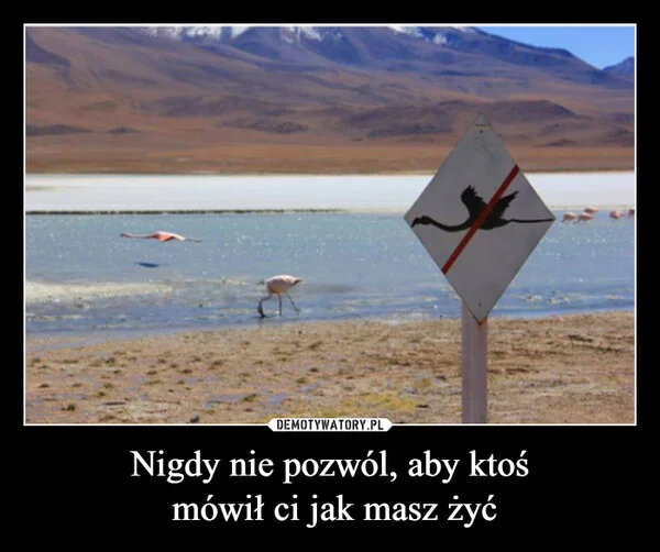 
    Nigdy nie pozwól, aby ktoś mówił ci jak masz żyć