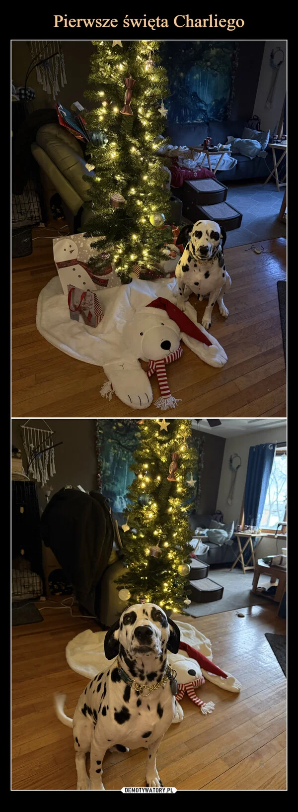 
    Pierwsze święta Charliego