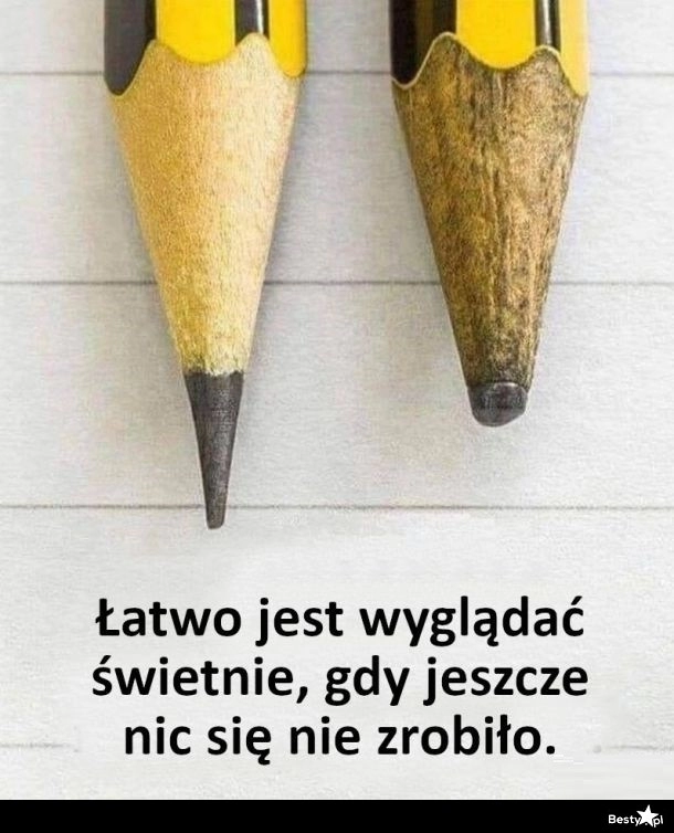 
    Wygląd 