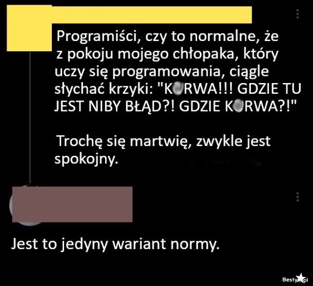 
    Programiści 