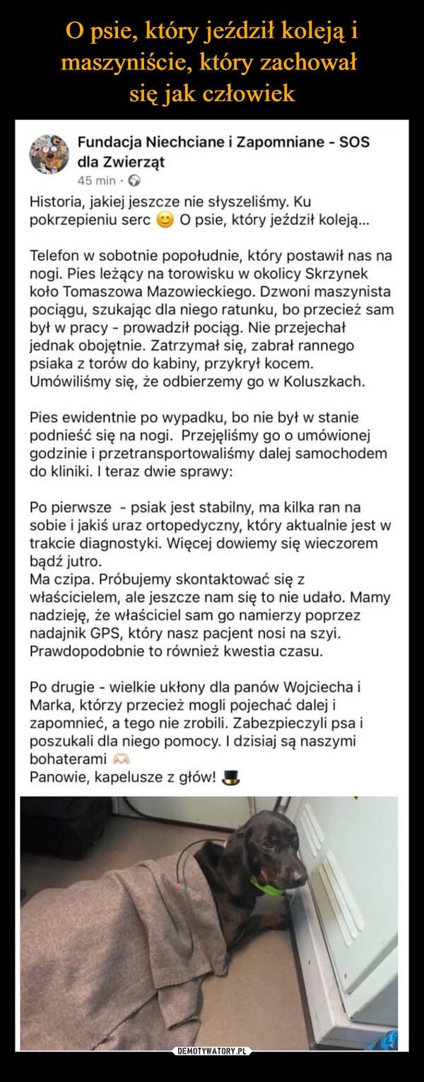 
    O psie, który jeździł koleją i maszyniście, który zachował 
się jak człowiek