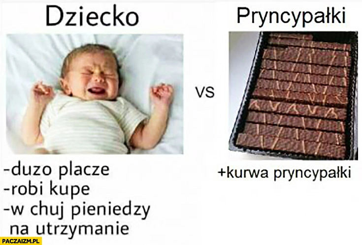 
    Dziecko vs pryncypałki porównanie dużo płacze, robi kupę, potrzeba pieniędzy na utrzymanie vs kurna pryncypałki