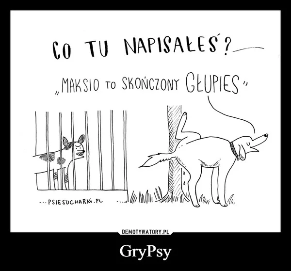 
    GryPsy