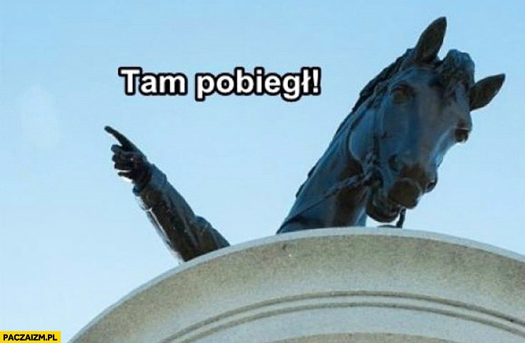 
    Tam pobiegł koń pokazuje