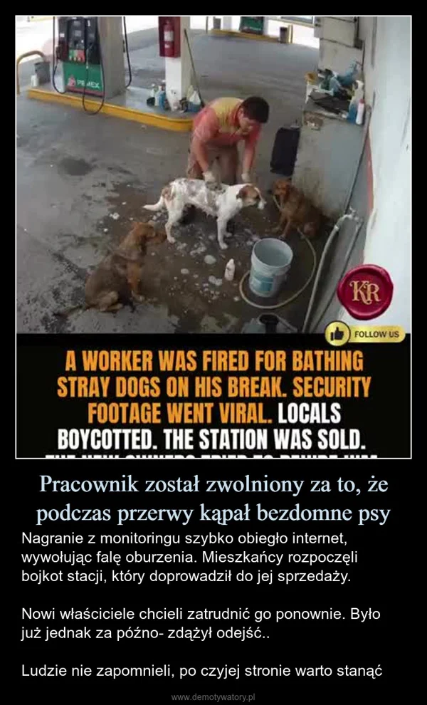 
    Pracownik został zwolniony za to, że podczas przerwy kąpał bezdomne psy