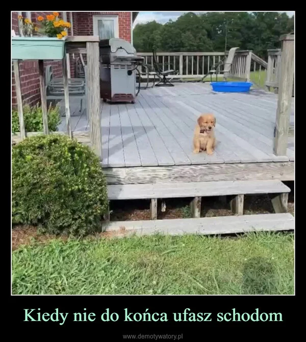 
    Kiedy nie do końca ufasz schodom