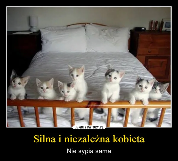 
    Silna i niezależna kobieta