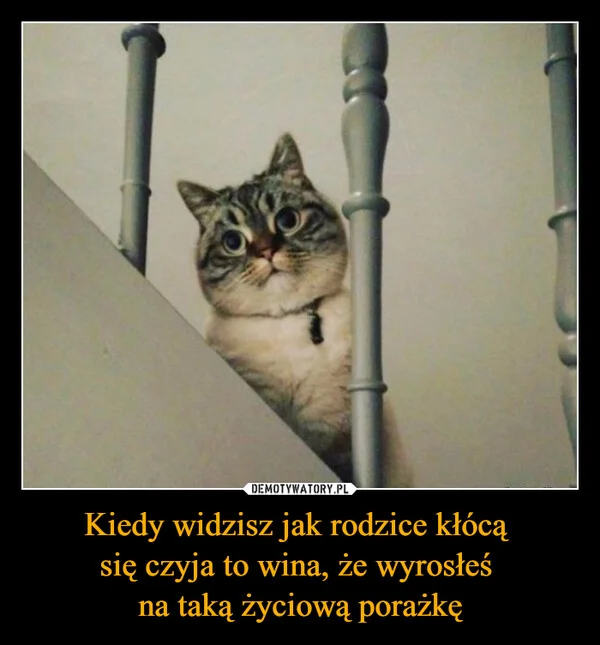 
    Kiedy widzisz jak rodzice kłócą się czyja to wina, że wyrosłeś na taką życiową porażkę
