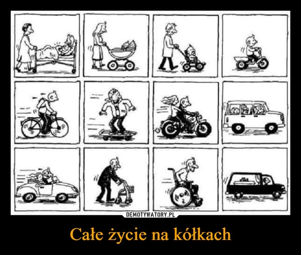 
    Całe życie na kółkach