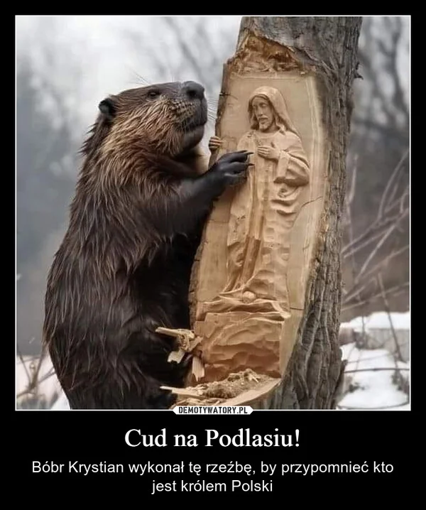 
    Cud na Podlasiu!