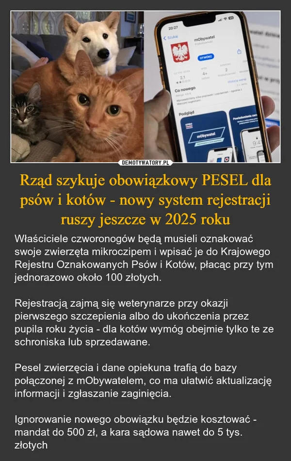
    Rząd szykuje obowiązkowy PESEL dla psów i kotów - nowy system rejestracji ruszy jeszcze w 2025 roku