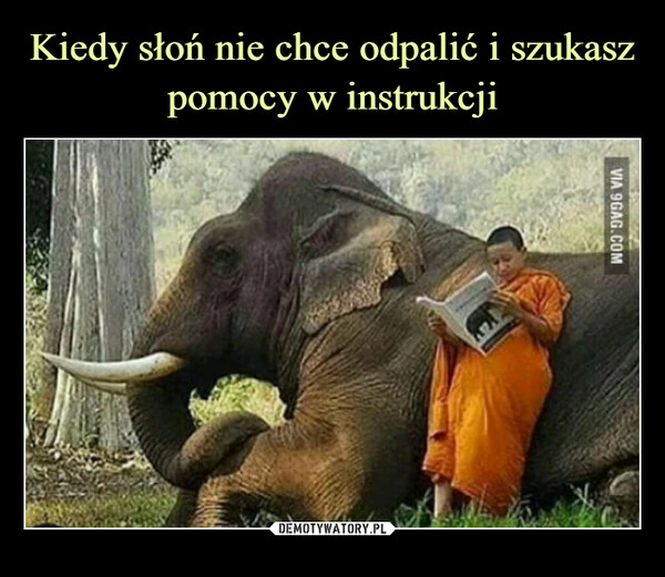 
    Kiedy słoń nie chce odpalić i szukasz pomocy w instrukcji