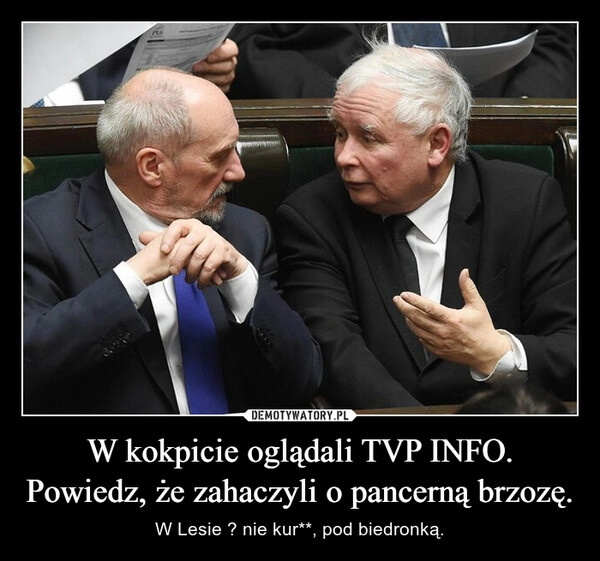 
    W kokpicie oglądali TVP INFO. Powiedz, że zahaczyli o pancerną brzozę.